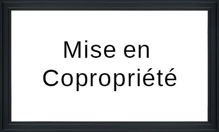 Mise en copropriété